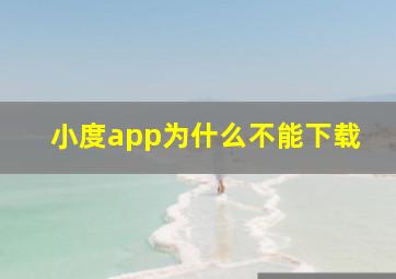 小度app为什么不能下载