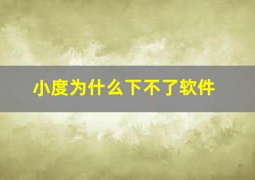 小度为什么下不了软件