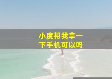 小度帮我拿一下手机可以吗