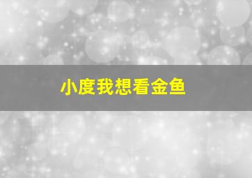 小度我想看金鱼