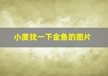 小度找一下金鱼的图片