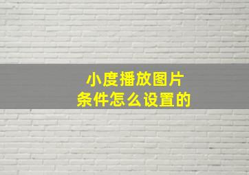 小度播放图片条件怎么设置的