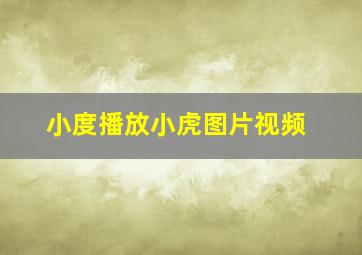 小度播放小虎图片视频