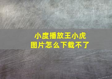 小度播放王小虎图片怎么下载不了