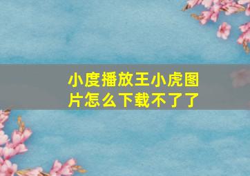 小度播放王小虎图片怎么下载不了了