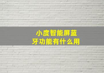 小度智能屏蓝牙功能有什么用