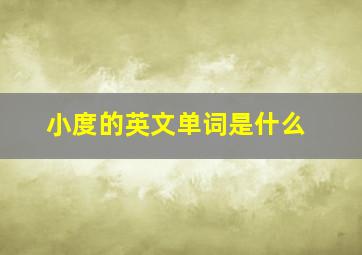 小度的英文单词是什么