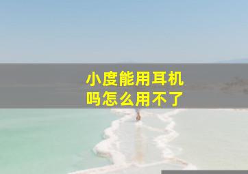 小度能用耳机吗怎么用不了