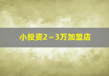 小投资2～3万加盟店