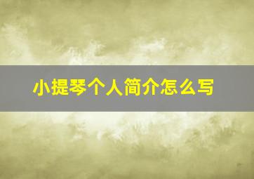 小提琴个人简介怎么写