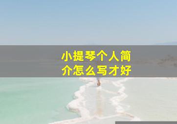 小提琴个人简介怎么写才好