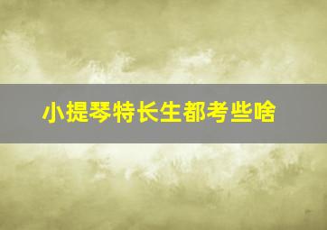 小提琴特长生都考些啥