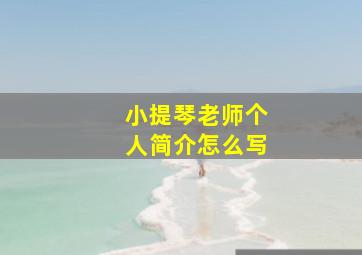 小提琴老师个人简介怎么写