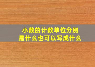 小数的计数单位分别是什么也可以写成什么