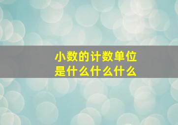 小数的计数单位是什么什么什么