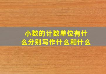 小数的计数单位有什么分别写作什么和什么