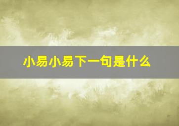 小易小易下一句是什么