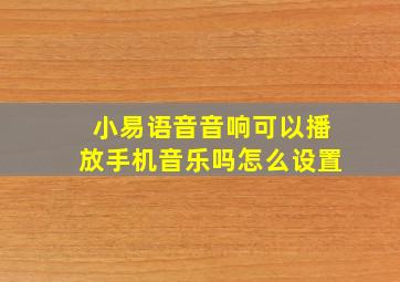 小易语音音响可以播放手机音乐吗怎么设置