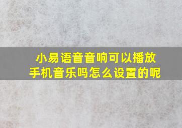 小易语音音响可以播放手机音乐吗怎么设置的呢