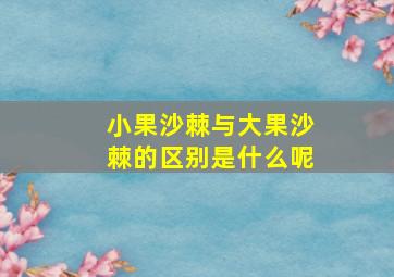 小果沙棘与大果沙棘的区别是什么呢