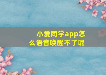 小爱同学app怎么语音唤醒不了呢