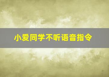 小爱同学不听语音指令