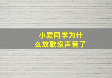 小爱同学为什么放歌没声音了