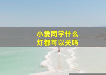 小爱同学什么灯都可以关吗