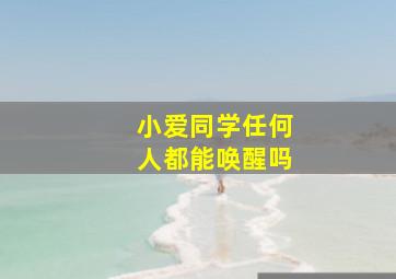 小爱同学任何人都能唤醒吗