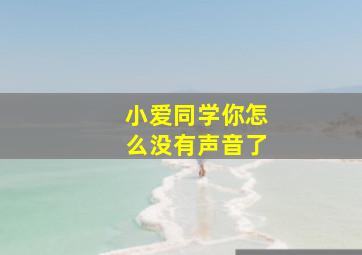 小爱同学你怎么没有声音了