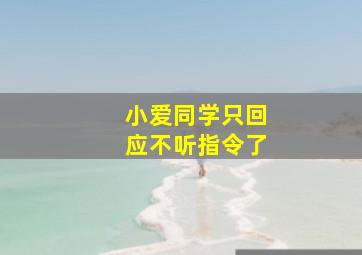 小爱同学只回应不听指令了