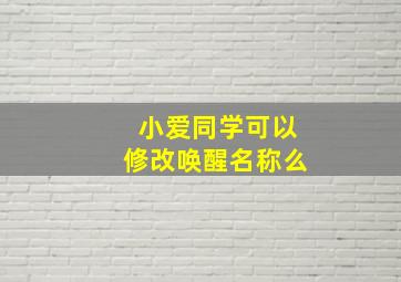 小爱同学可以修改唤醒名称么