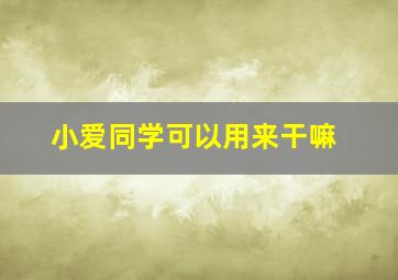 小爱同学可以用来干嘛