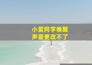 小爱同学唤醒声音更改不了