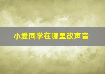 小爱同学在哪里改声音