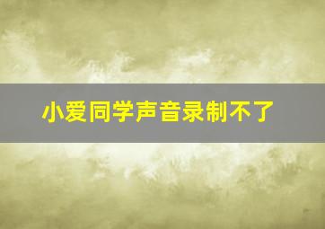 小爱同学声音录制不了