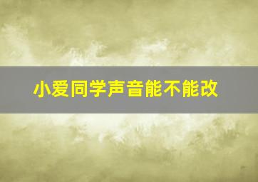 小爱同学声音能不能改