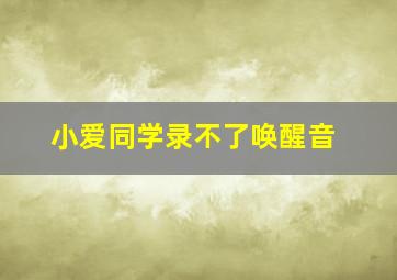 小爱同学录不了唤醒音