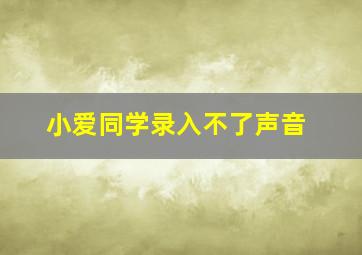 小爱同学录入不了声音