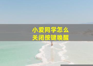 小爱同学怎么关闭按键唤醒