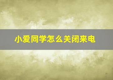 小爱同学怎么关闭来电