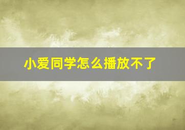 小爱同学怎么播放不了