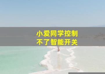 小爱同学控制不了智能开关