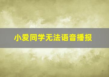 小爱同学无法语音播报