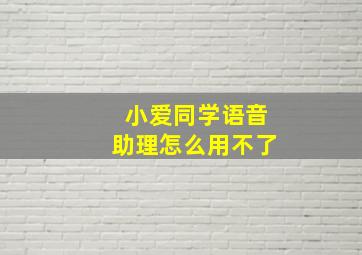 小爱同学语音助理怎么用不了