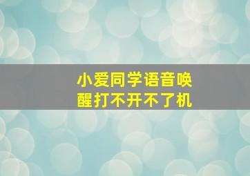 小爱同学语音唤醒打不开不了机