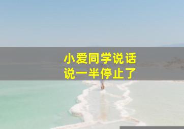 小爱同学说话说一半停止了