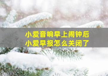 小爱音响早上闹钟后小爱早报怎么关闭了