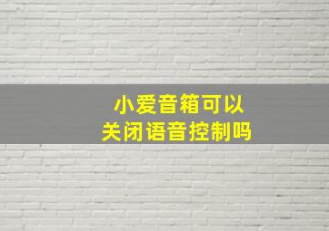 小爱音箱可以关闭语音控制吗