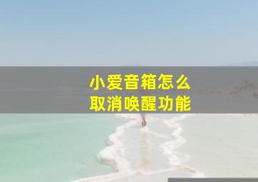 小爱音箱怎么取消唤醒功能